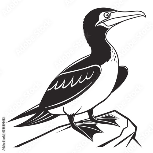 Illustration of a booby bird standing on a rock