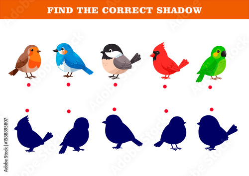 Find correct shadow in educational matching game with various birds. Educational game includes colorful birds needing correct shadow identification.