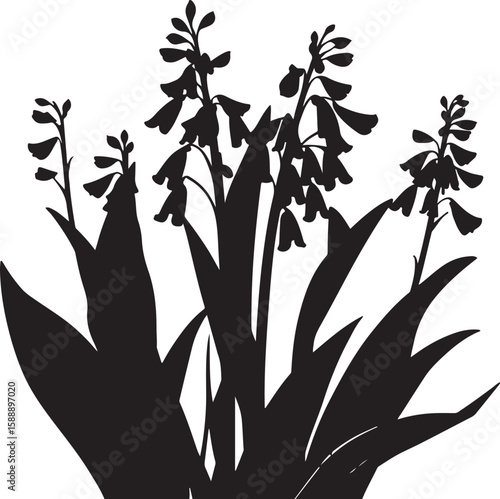 A classic black and white vector illustration of Virginia bluebells silhouetted against a white background. 