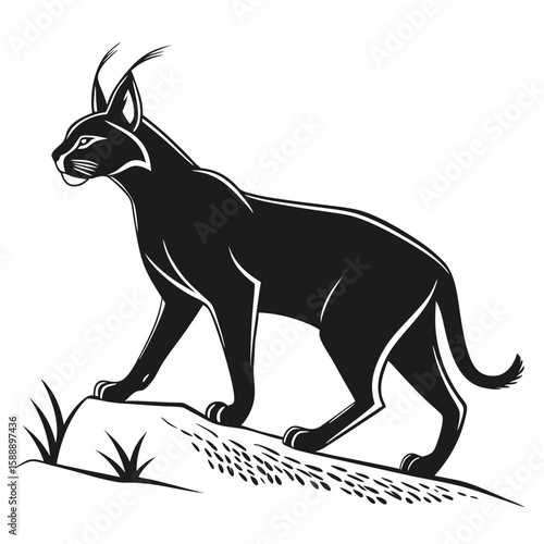 A black lynx stands alertly on a rocky outcrop