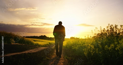 Old Man In Farmland, Cinematic Silhouette Shot Against Sunset Or Sunrise, Back View, Senior Farmer
