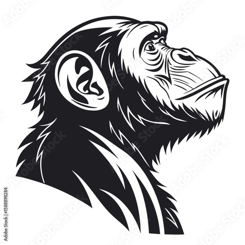 Head profile of a chimpanzee