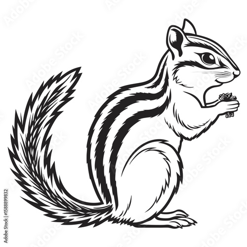 A cute chipmunk sits on a white background