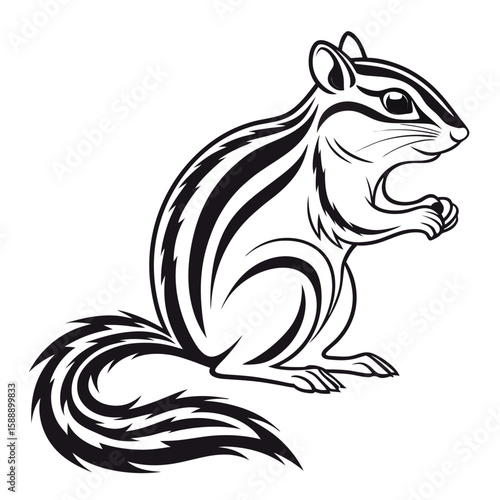 A cute chipmunk sits on a white background