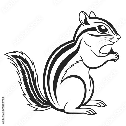 A cute chipmunk sits on a white background