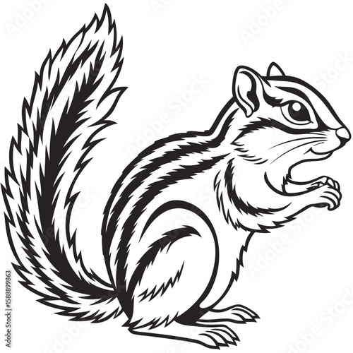 A cute chipmunk sits on a white background