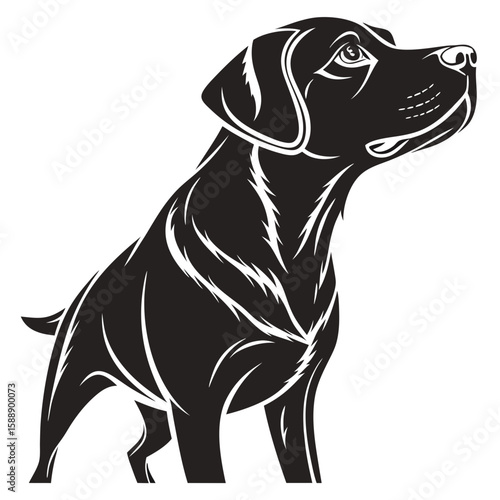 Black labrador retriever silhouette isolated on white background