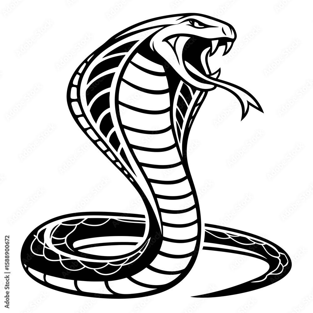 Fototapeta premium A striking cobra snake illustration with its hood flared