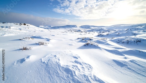Snowy landscape under a bright sky