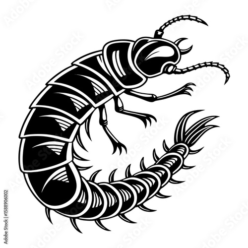 A segmented centipede with many legs and antennae