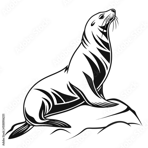 Sea lion resting on a rock, isolated on white background