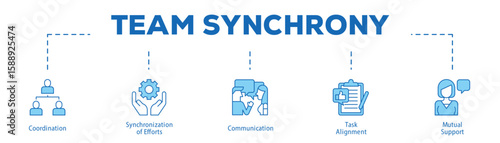 Team Synchrony infographic icon bluetone flow process which consists of Coordination, Synchronization of Efforts, Communication, Task Alignment, Mutual Support.