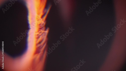 Experimental Abstract Texture for Cutaway, B-Roll, Transition. Plants and Sea Animal