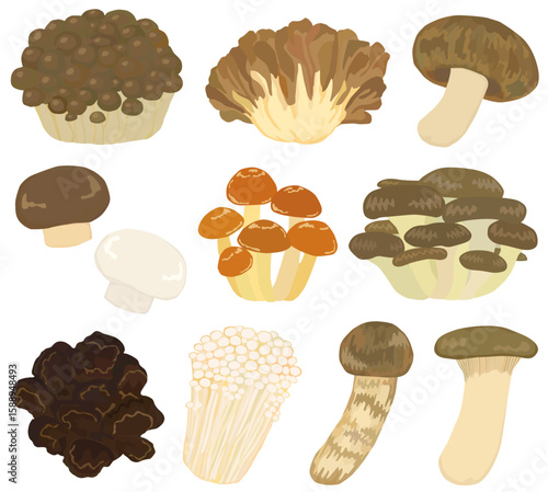 きのこのイラストセット ベクター素材