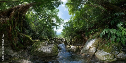 Panoramic 360 degrees hdr nature scene tropical stream lush environment serene viewpoint