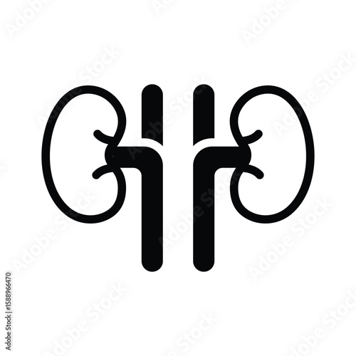 A premium glyph icon of both human kidneys