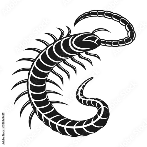 Curving centipede with segmented body and numerous legs