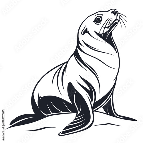 A seal sits on its hind flippers