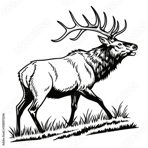 A striking illustration of an elk with large antlers