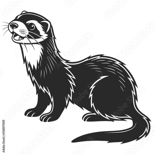 A black and white drawing of a curious ferret