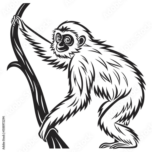 A gibbon monkey climbs on a tree branch