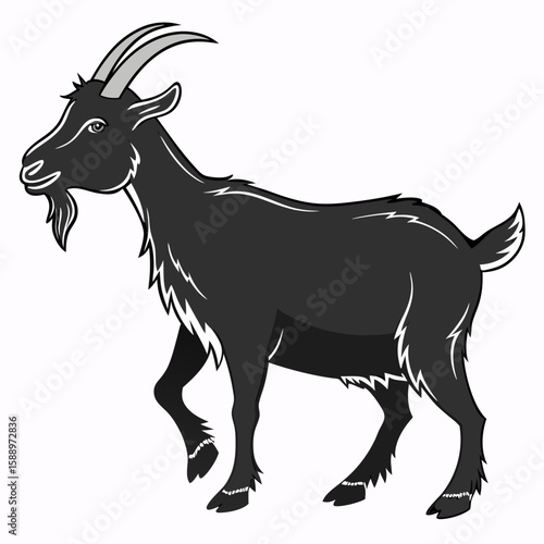 A black goat standing on a white background