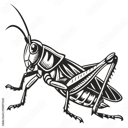 A detailed grasshopper is captured in a dynamic pose