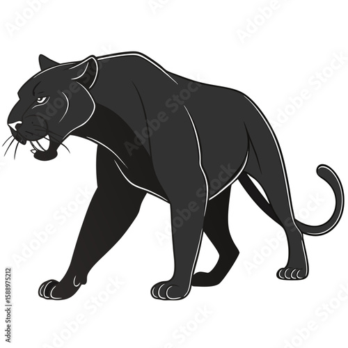 A black panther walks with a fierce expression