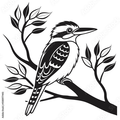 Stylized black and white illustration of a kookaburra on a branch