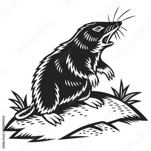 Mole on a rock with grass