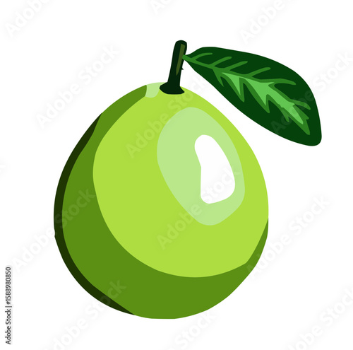 Pomelo fruit vector illustration in vibrant colors, for health and food concept
