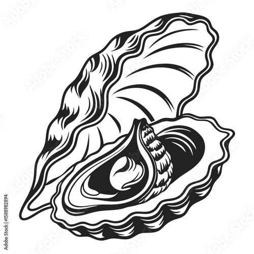 A black and white illustration of an open oyster shell