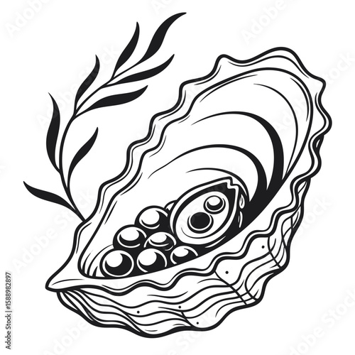An artistic black and white illustration of an oyster with pearls