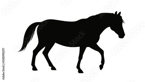 Black horse silhouette vector illustration for equestrian design and farm animal graphic projects and more