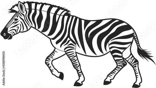 Zebra illustration black and white vector image of african wildlife striped animal for design and education
