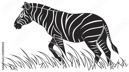 Black and white zebra illustration of african wildlife in grass vector drawing for design and art projects