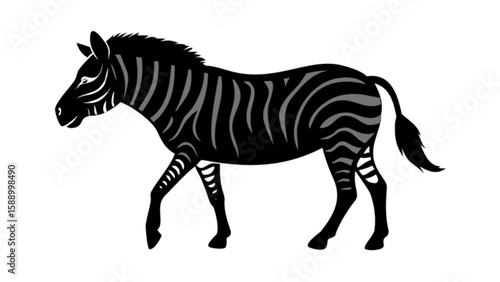 Black and white zebra illustration walking wildlife animal african safari zebra stripes equine art design vector