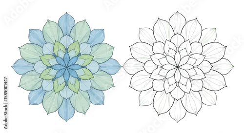 Bellflower Mandala Coloring Page Featuring Beautifully Colored and Clear Outline Versions for Art