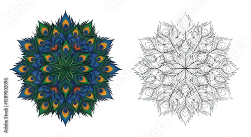 Circular Peacock Feather Mandala Coloring Page with Vibrant Colored and Outline Pair Design
