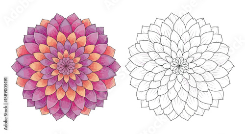 Dahlia Inspired Mandala Coloring Page Featuring Artistic Colored and Outline Design Versions