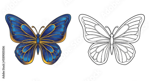 Stunning Elegant Wing Butterfly Mandala Coloring Page in Full Realistic Color Line Art