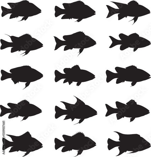 Various freshwater and saltwater fish silhouettes vector illustration