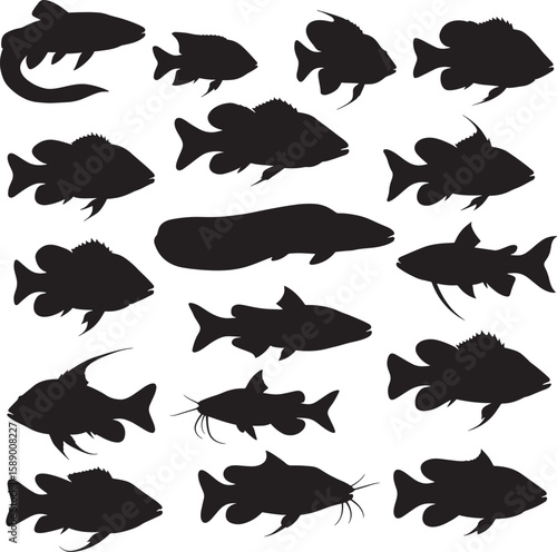 Various tropical freshwater fish silhouettes vector illustration