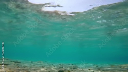 Wallpaper Mural Rising From Underwater to Ocean Surface with Gentle Waves and Sunlight – POV Torontodigital.ca