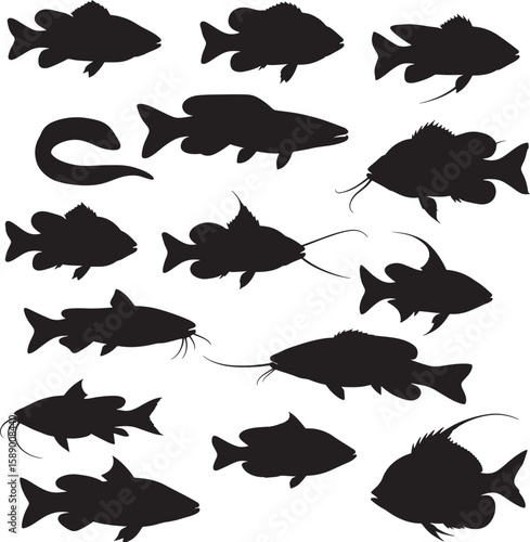 Various river and lake freshwater fish silhouettes vector illustration