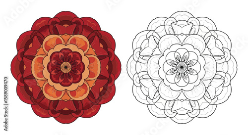 Vibrant Poppy Petal Mandala Coloring Page with Colored and Outline Floral Patterns