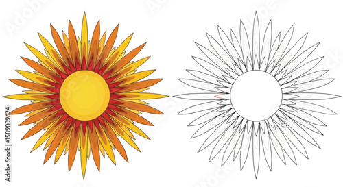 Energetic Radiating Sunburst Mandala Coloring Page Colored and Outline Digital Variants