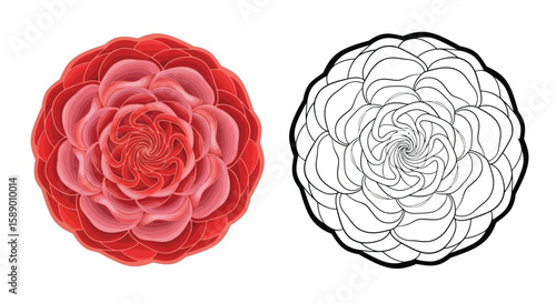 Beautiful Round Rose Petal Mandala Coloring Page with Color and Outline Art Design