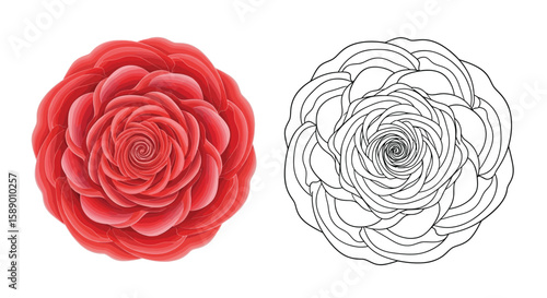 Elegant Round Rose Petal Mandala Coloring Page Vibrant Color and Outline Floral Design