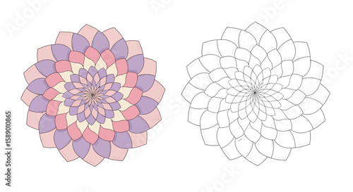 Elegant Spiral Floral Mandala Coloring Page with Colored and Outline Botanical Design